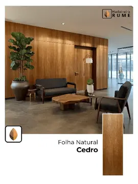 Cedro — foto 3 da lâmina